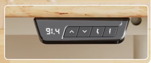 FlexiSpot ER2